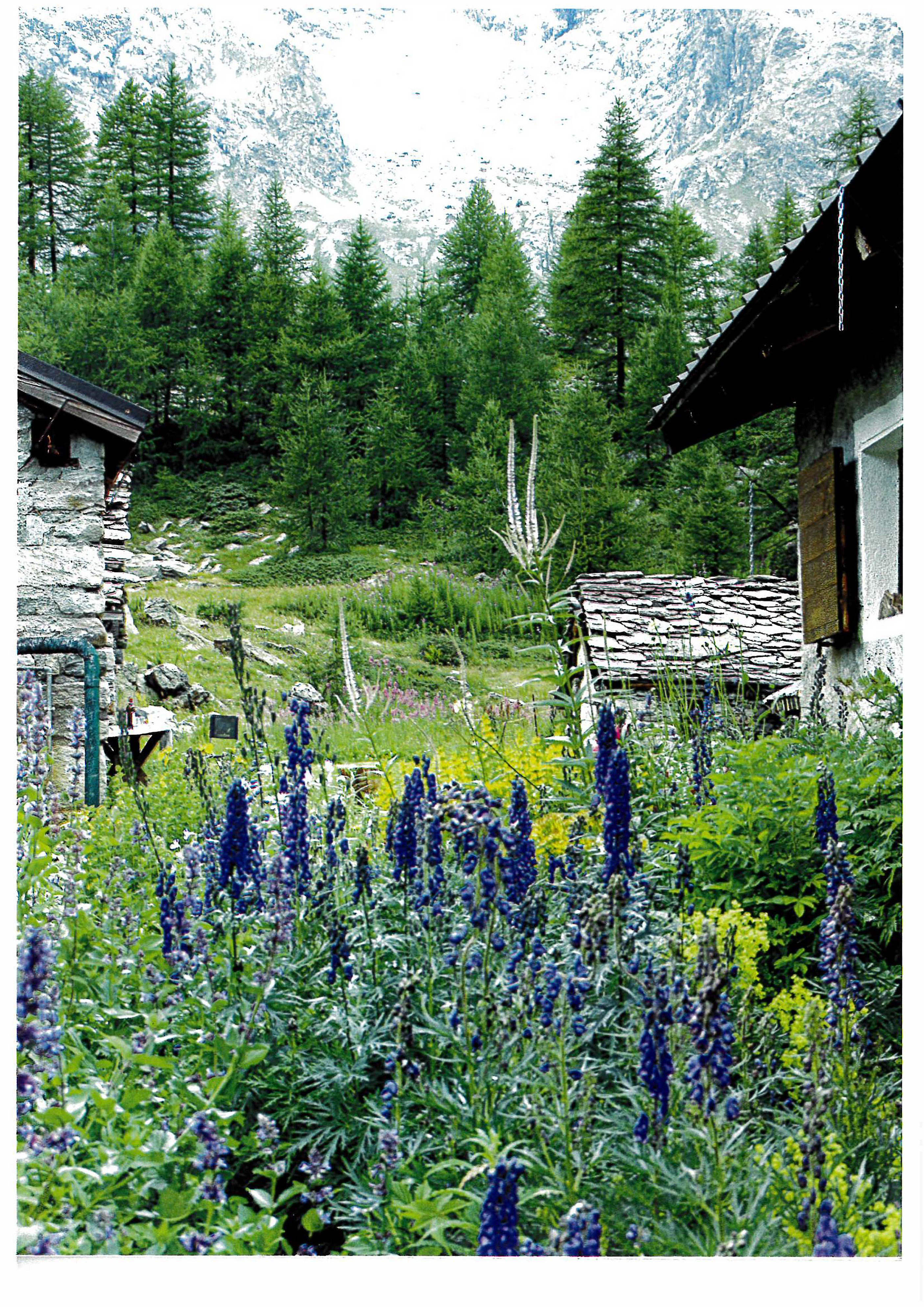 Il giardino privato a Gran Chamen
